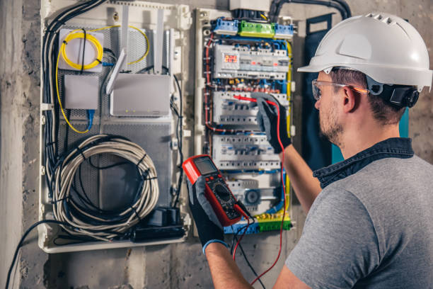 Best Electric Panel Repair  in Ladd, IL