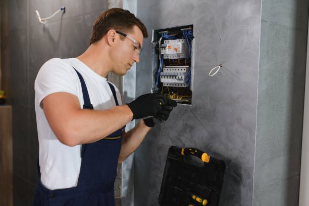 Best Electrical System Inspection  in Ladd, IL