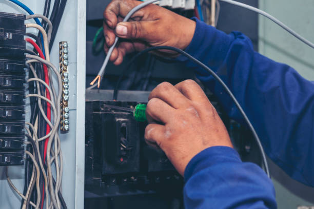 Best Electrical Upgrades for Homes  in Ladd, IL
