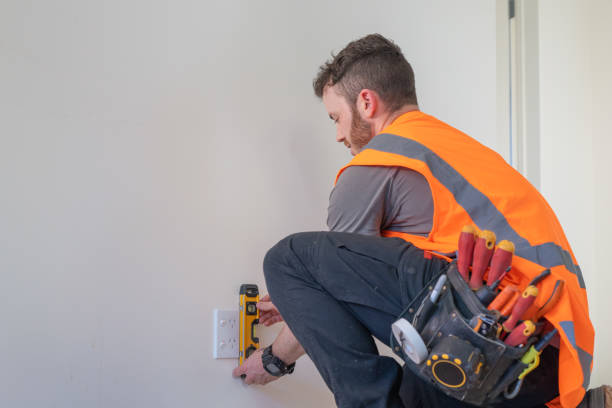 Best Home Electrical Repair  in Ladd, IL
