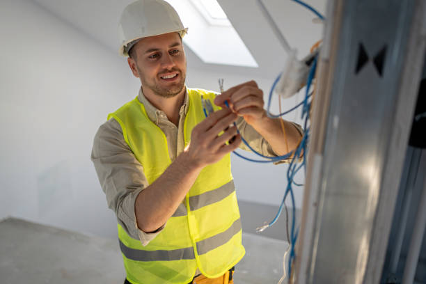 Best Electrical Troubleshooting Services  in Ladd, IL